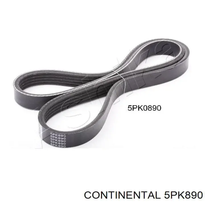 Compre 5PK890 Continental/Siemens Correia dos conjuntos de transmissão