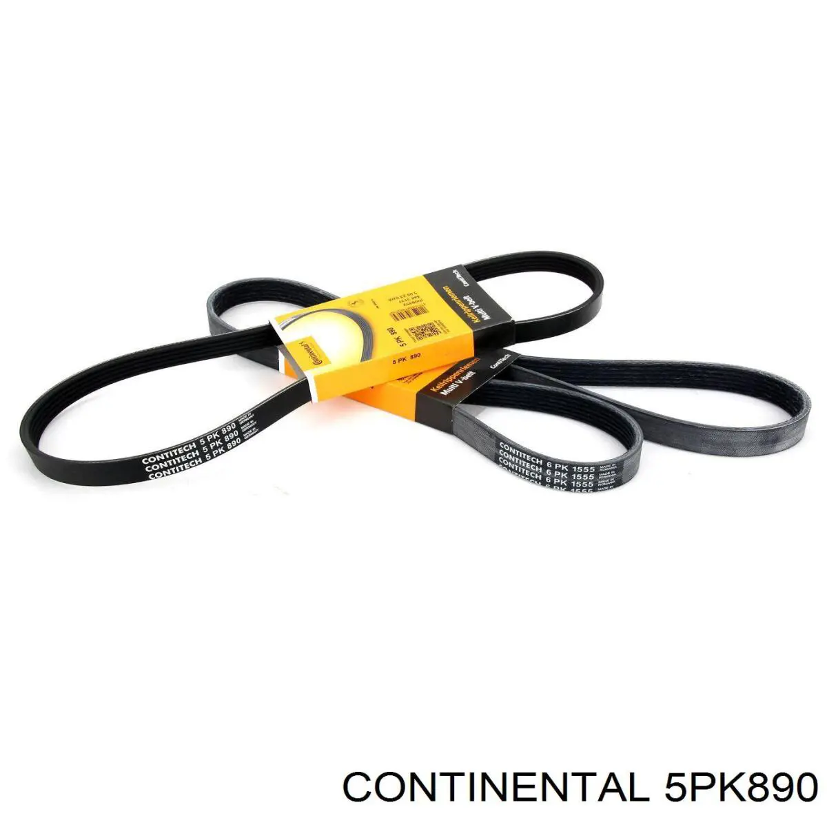 5PK890 Continental/Siemens Correia dos conjuntos de transmissão