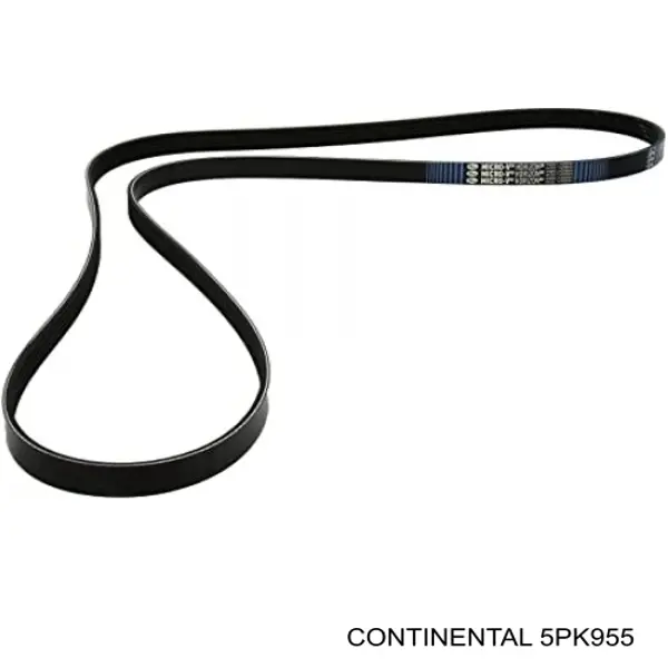 5PK955 Continental/Siemens Correia dos conjuntos de transmissão