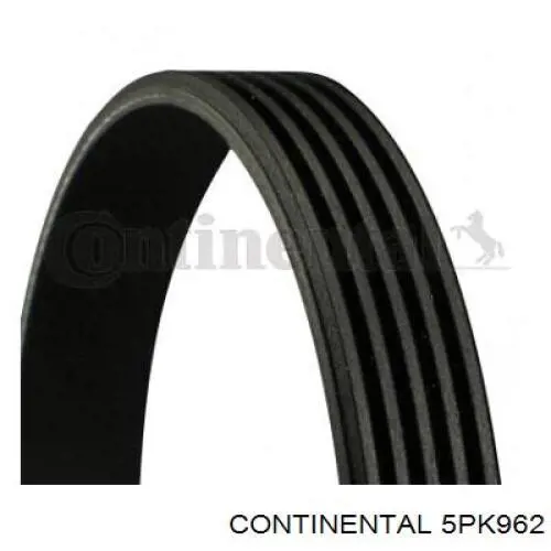 5PK962 Continental/Siemens Correia dos conjuntos de transmissão