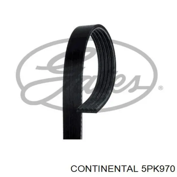5PK970 Continental/Siemens Correia dos conjuntos de transmissão