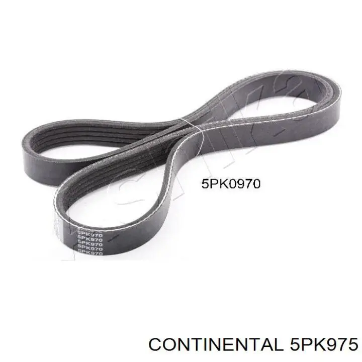 Correia dos conjuntos de transmissão Continental/Siemens 5PK975 preço, a partir de 24,00 USD