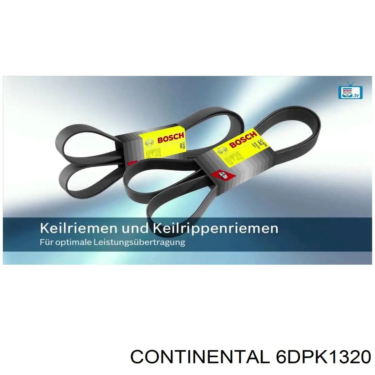 Compre 6DPK1320 Continental/Siemens Correia dos conjuntos de transmissão