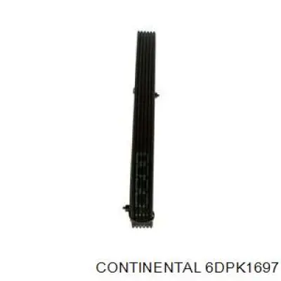 Compre 6DPK1697 Continental/Siemens Correia dos conjuntos de transmissão