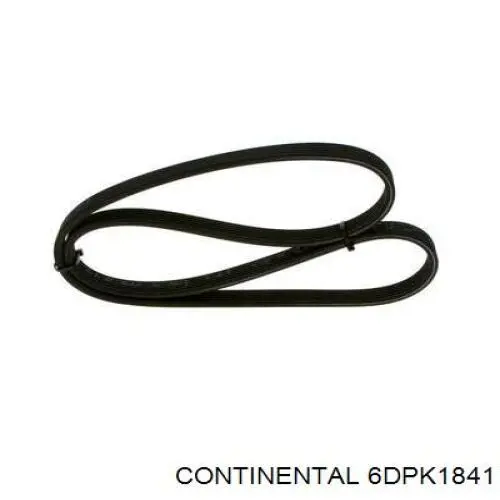 Correia dos conjuntos de transmissão Continental/Siemens 6DPK1841