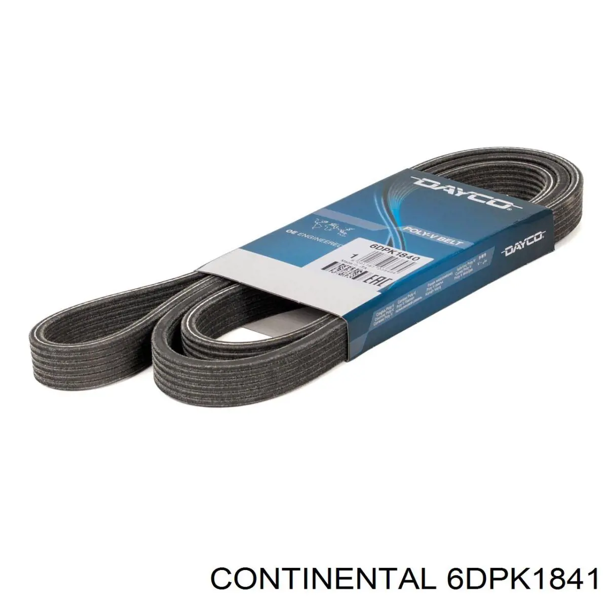 Correia dos conjuntos de transmissão Continental/Siemens 6DPK1841 preço, a partir de 28,77 USD