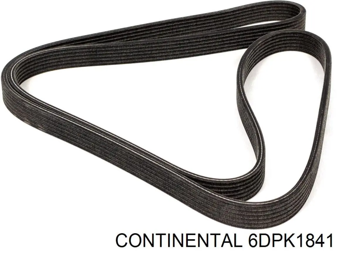 Compre 6DPK1841 Continental/Siemens Correia dos conjuntos de transmissão