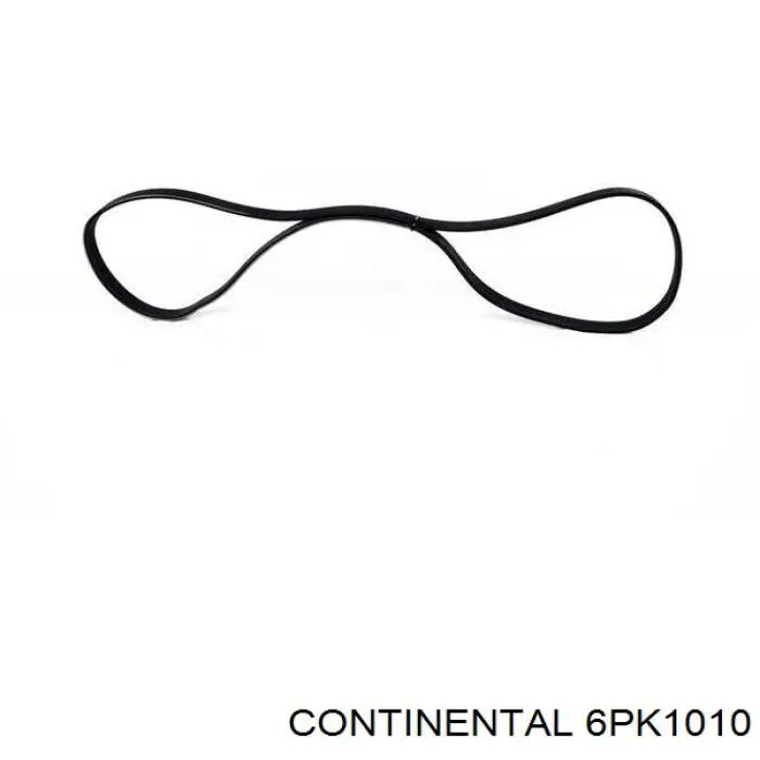 Correia dos conjuntos de transmissão Continental/Siemens 6PK1010 preço, a partir de 12,65 USD
