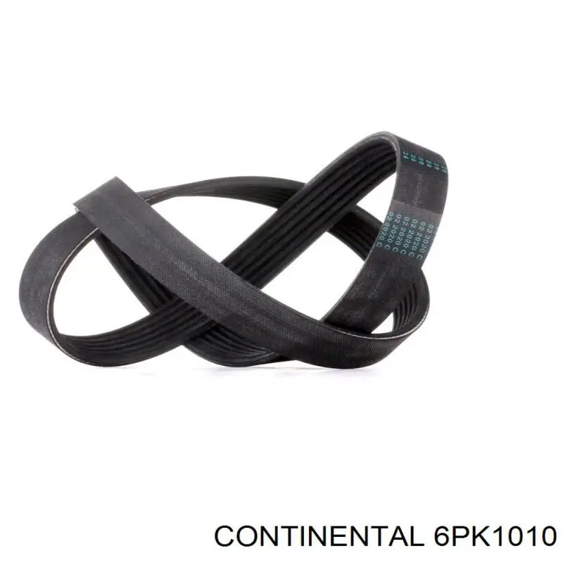 Compre 6PK1010 Continental/Siemens Correia dos conjuntos de transmissão