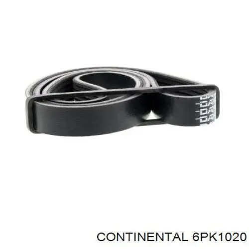 Compre 6PK1020 Continental/Siemens Correia dos conjuntos de transmissão