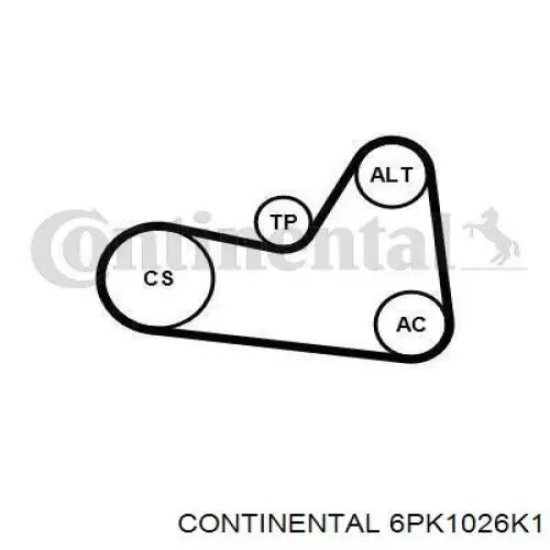 6PK1026K1 Continental/Siemens Correia dos conjuntos de transmissão, kit