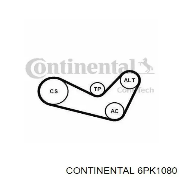 6PK1080 Continental/Siemens Correia dos conjuntos de transmissão