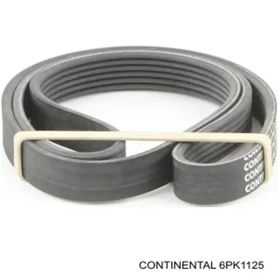 Correia dos conjuntos de transmissão Continental/Siemens 6PK1125 preço, a partir de 13,60 USD