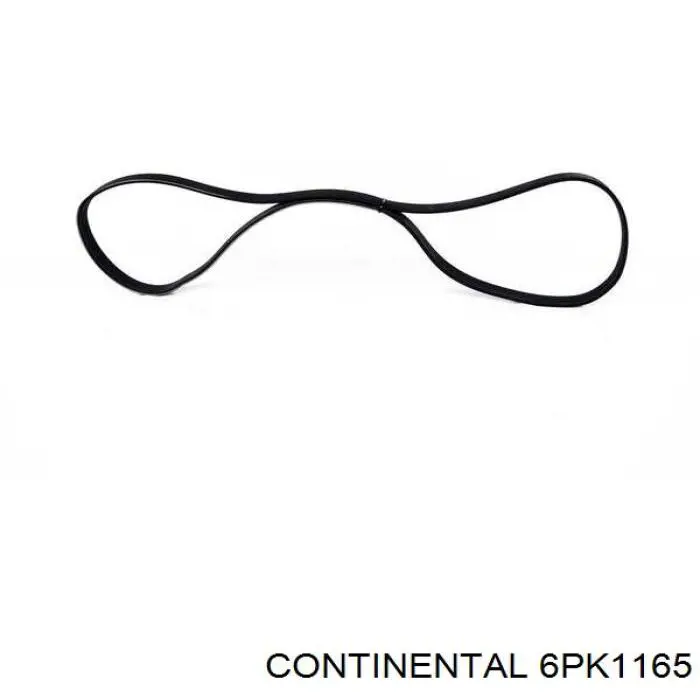 Correia dos conjuntos de transmissão Continental/Siemens 6PK1165 preço, a partir de 17,98 USD