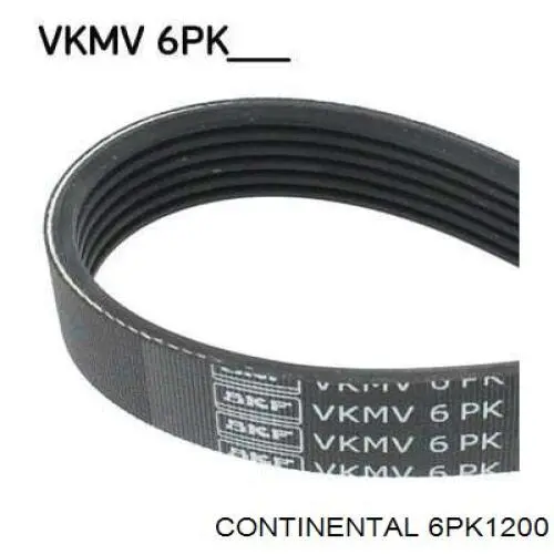 Correia dos conjuntos de transmissão Continental/Siemens 6PK1200 preço, a partir de 11,10 USD