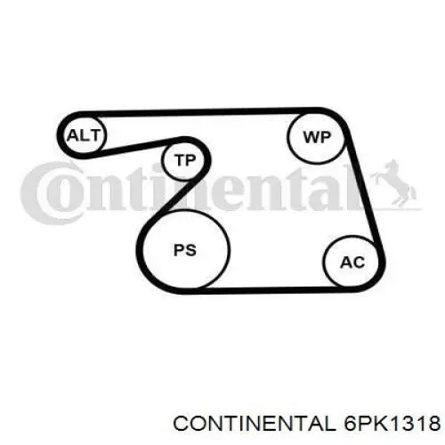 Correia dos conjuntos de transmissão 6PK1318 Continental/Siemens