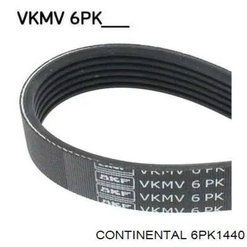 Correia dos conjuntos de transmissão Continental/Siemens 6PK1440 preço, a partir de 17,72 USD