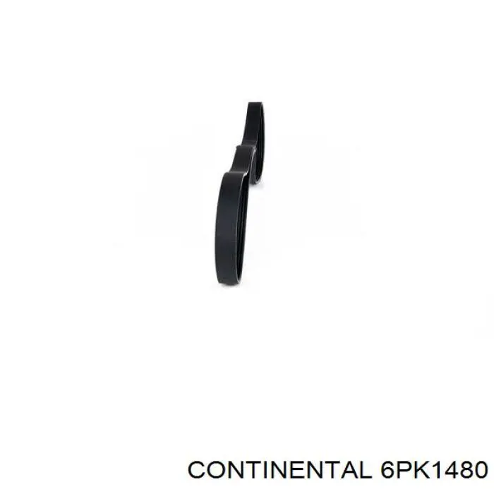 Compre 6PK1480 Continental/Siemens Correia dos conjuntos de transmissão