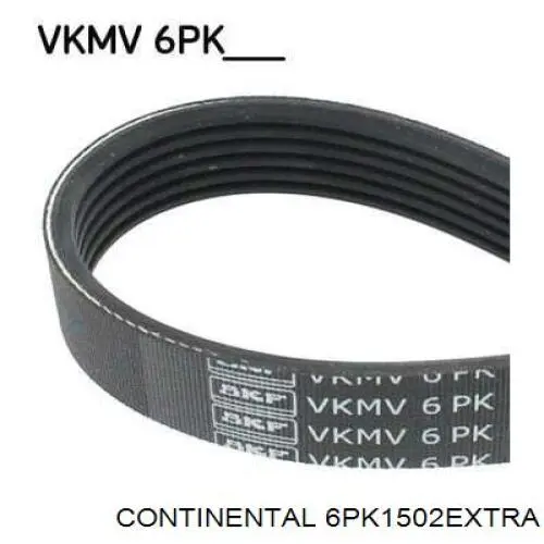 6PK1502EXTRA Continental/Siemens Correia dos conjuntos de transmissão