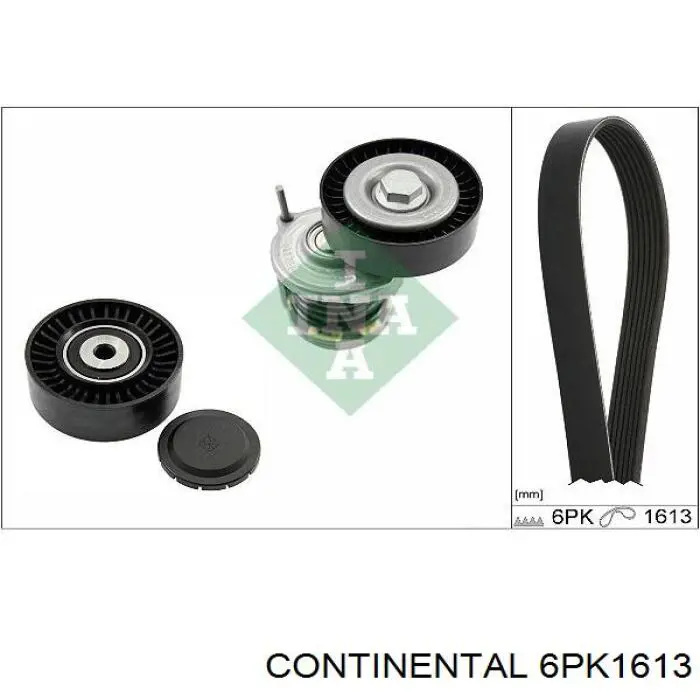 Correia dos conjuntos de transmissão Continental/Siemens 6PK1613 preço, a partir de 19,51 USD