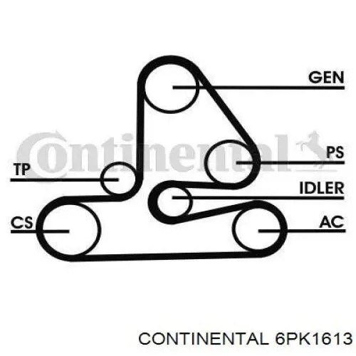 Correia dos conjuntos de transmissão 6PK1613 Continental/Siemens