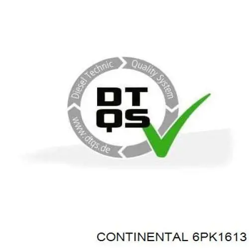 6PK1613 Continental/Siemens Correia dos conjuntos de transmissão