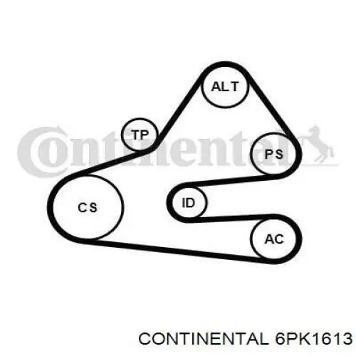 Correia dos conjuntos de transmissão Continental/Siemens 6PK1613 preço, a partir de 19,51 USD