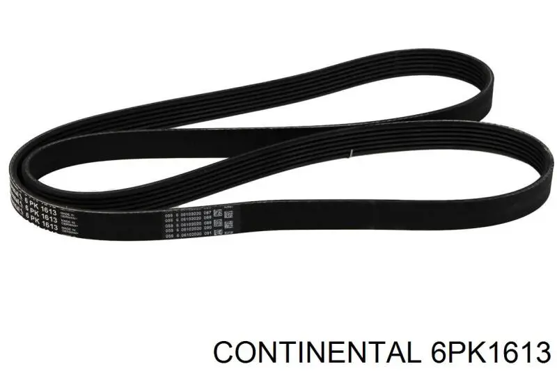 Correia dos conjuntos de transmissão Continental/Siemens 6PK1613