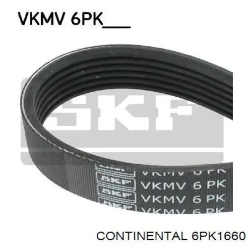 Correia dos conjuntos de transmissão Continental/Siemens 6PK1660 preço, a partir de 18,48 USD