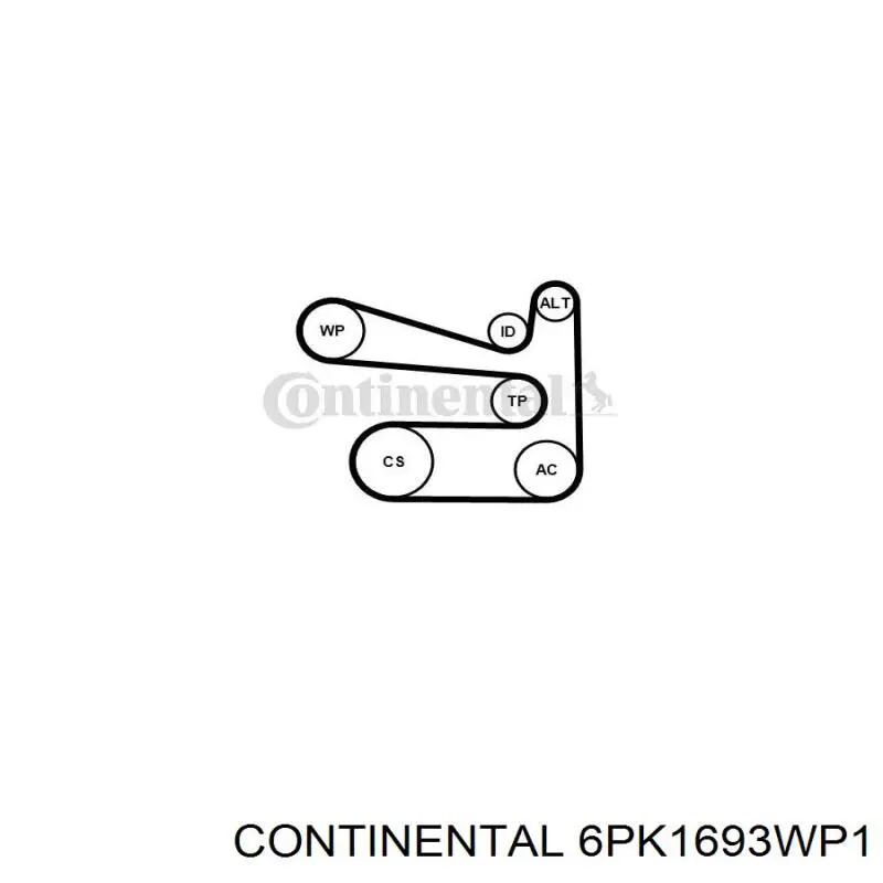529053430 INA Correia dos conjuntos de transmissão, kit