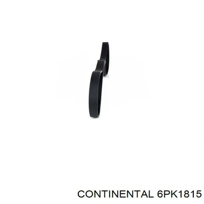 Compre 6PK1815 Continental/Siemens Correia dos conjuntos de transmissão