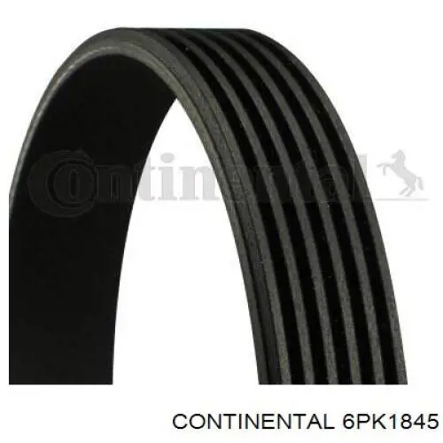 6PK1845 Continental/Siemens Correia dos conjuntos de transmissão