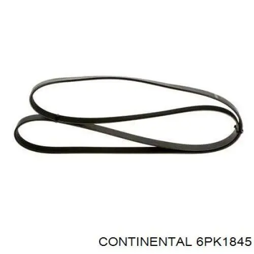 Compre 6PK1845 Continental/Siemens Correia dos conjuntos de transmissão