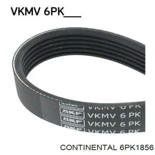 Correia dos conjuntos de transmissão Continental/Siemens 6PK1856 preço, a partir de 25,61 USD