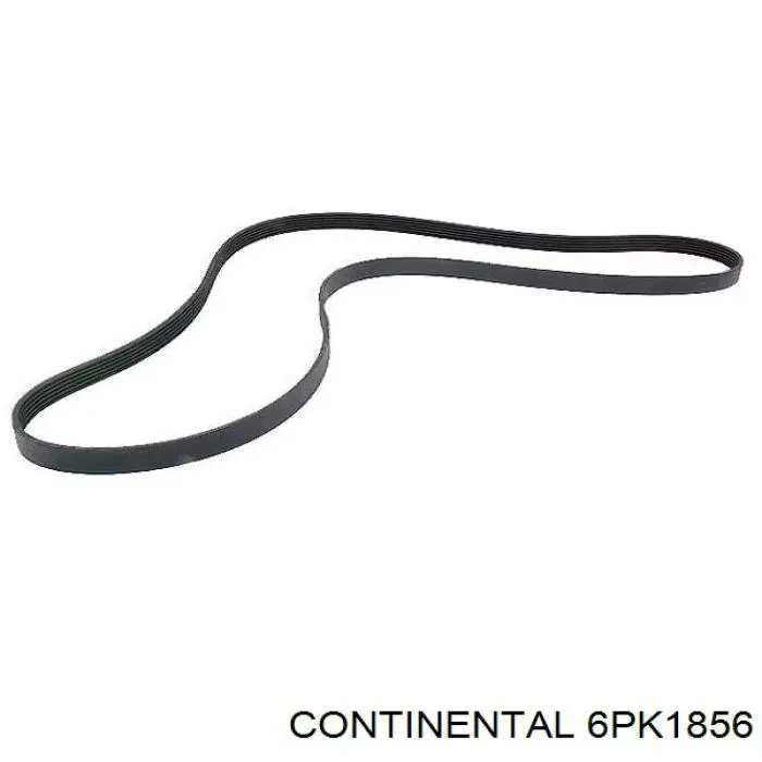 Compre 6PK1856 Continental/Siemens Correia dos conjuntos de transmissão