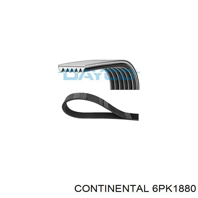 Correia dos conjuntos de transmissão 6PK1880 Continental/Siemens