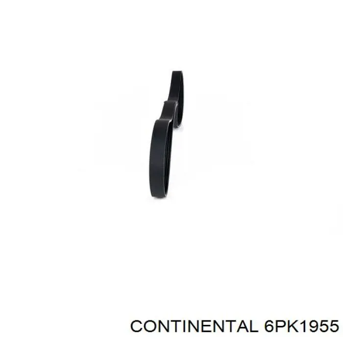 Compre 6PK1955 Continental/Siemens Correia dos conjuntos de transmissão
