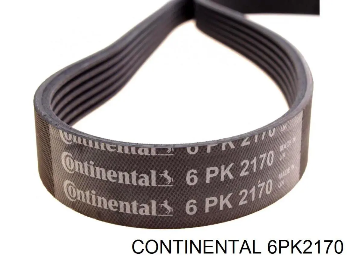 Correia dos conjuntos de transmissão Continental/Siemens 6PK2170 preço, a partir de 32,28 USD