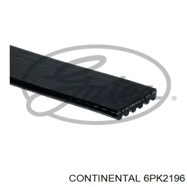 Correia dos conjuntos de transmissão Continental/Siemens 6PK2196 preço, a partir de 31,94 USD