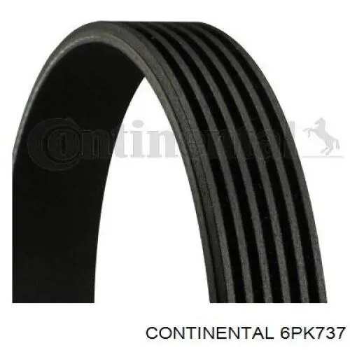 Correia dos conjuntos de transmissão Continental/Siemens 6PK737 preço, a partir de 11,16 USD