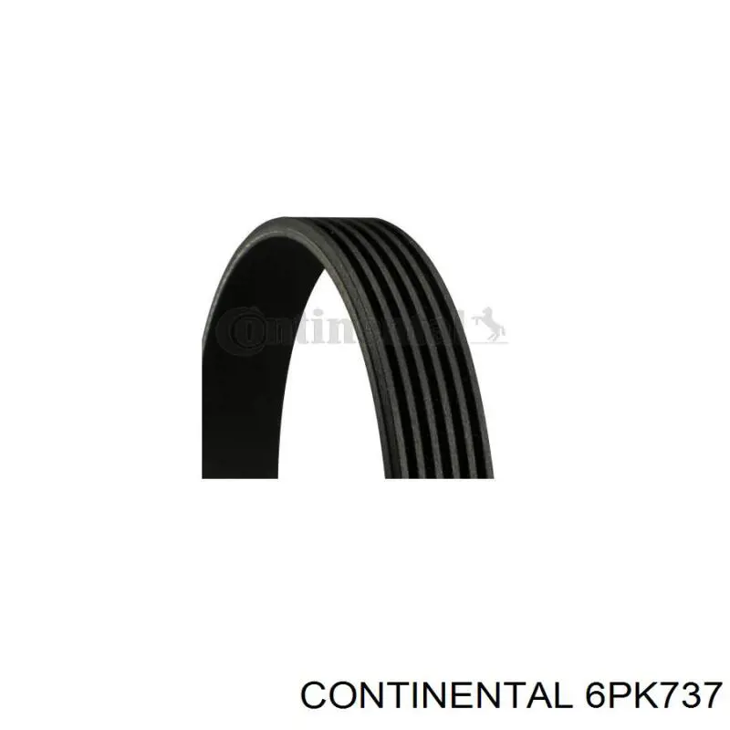 6PK737 Continental/Siemens Correia dos conjuntos de transmissão