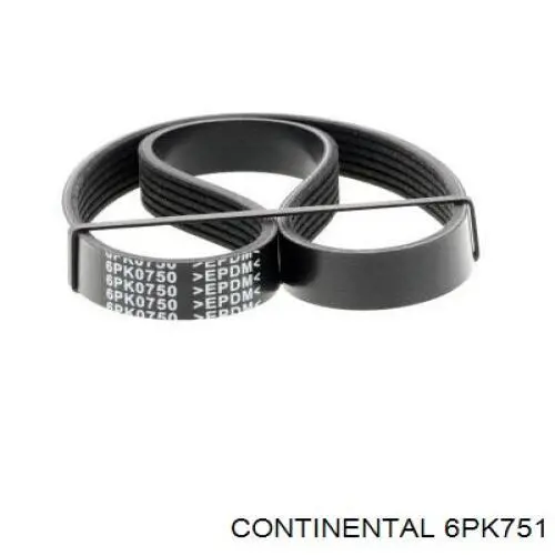 Compre 6PK751 Continental/Siemens Correia dos conjuntos de transmissão