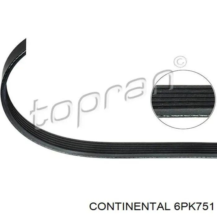 Correia dos conjuntos de transmissão Continental/Siemens 6PK751