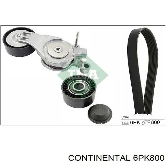 Correia dos conjuntos de transmissão Continental/Siemens 6PK800 preço, a partir de 12,49 USD
