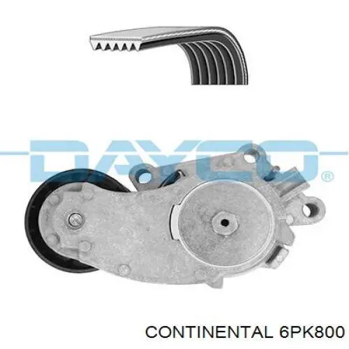 Compre 6PK800 Continental/Siemens Correia dos conjuntos de transmissão