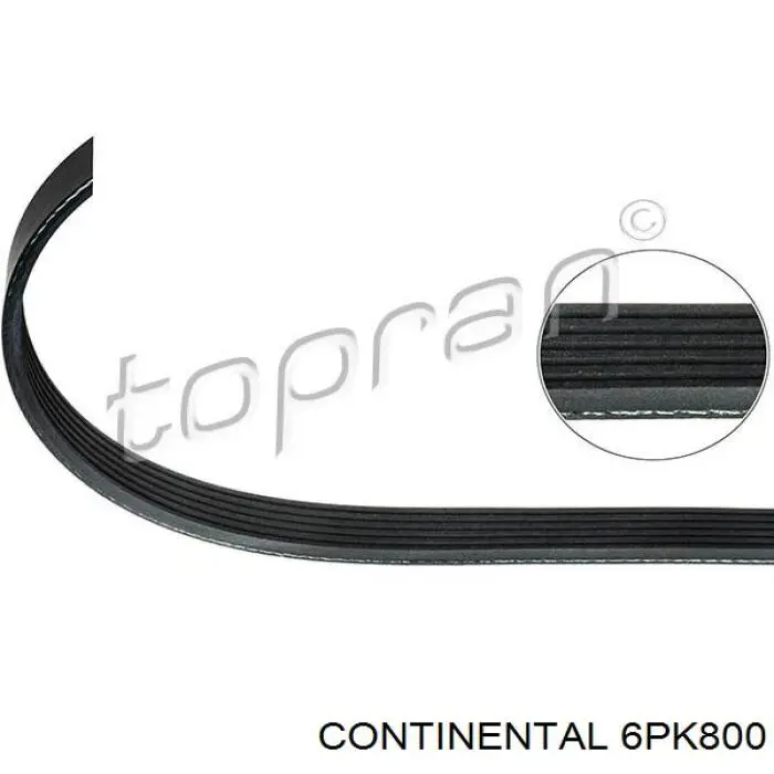 Compre 6PK800 Continental/Siemens Correia dos conjuntos de transmissão