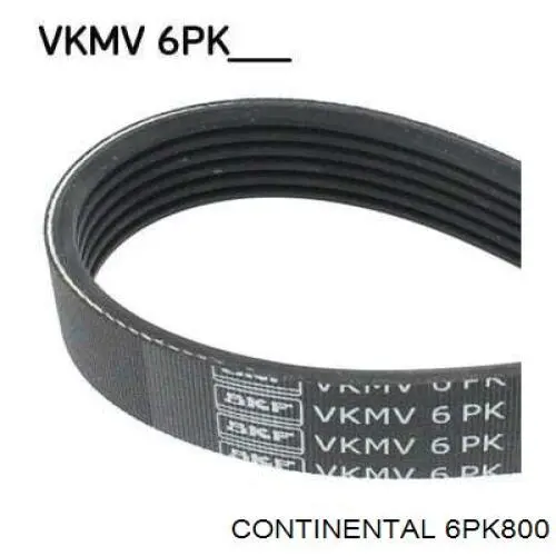 6PK800 Continental/Siemens Correia dos conjuntos de transmissão