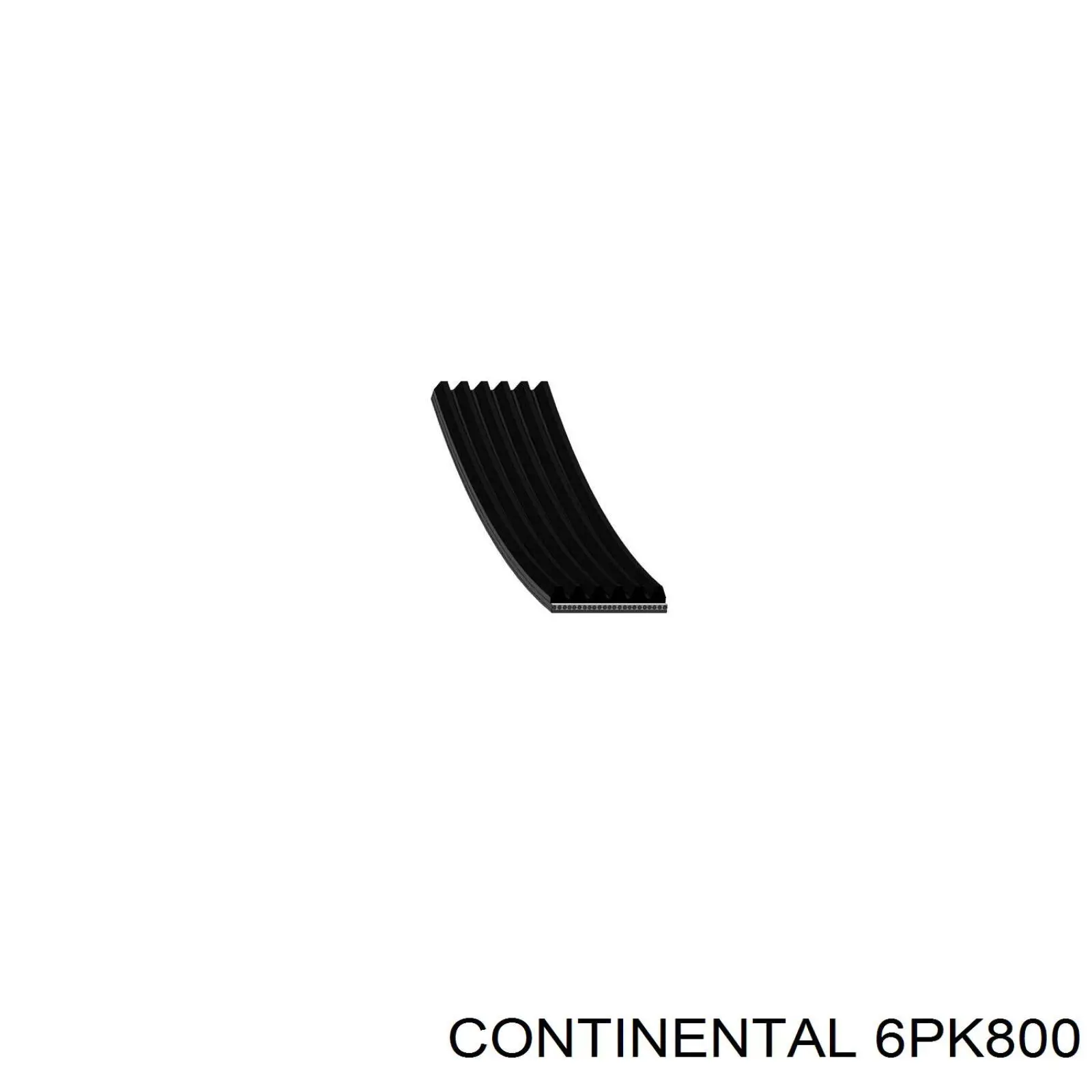 Correia dos conjuntos de transmissão Continental/Siemens 6PK800 preço, a partir de 12,49 USD