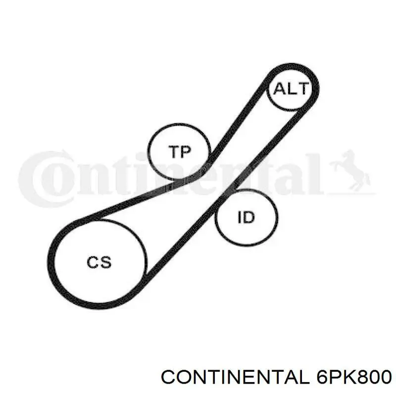 6PK800 Continental/Siemens Correia dos conjuntos de transmissão