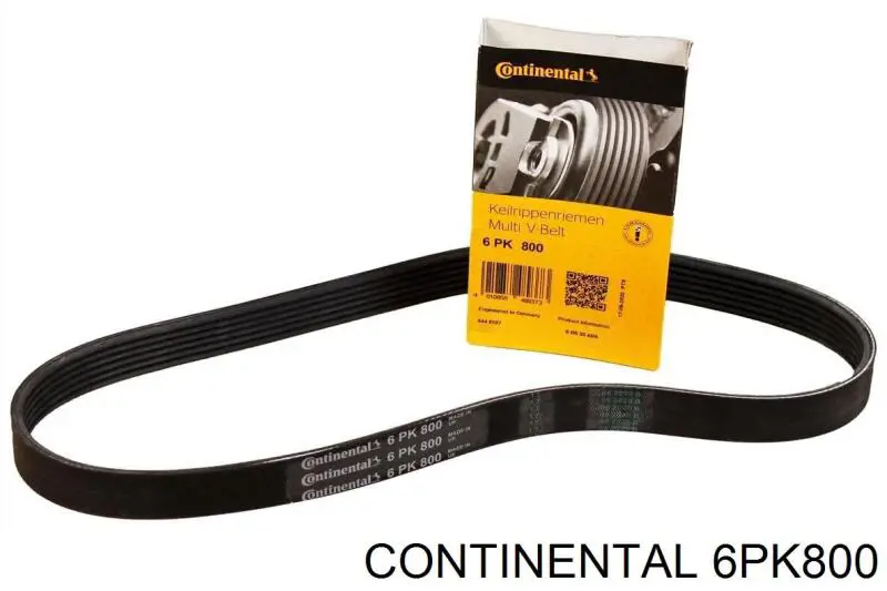 Correia dos conjuntos de transmissão 6PK800 Continental/Siemens